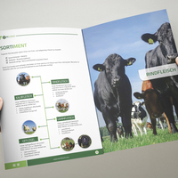 Brochure layout