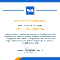 Virtual Assistant Training of The Skillmates