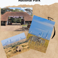 Hospitality Cover page for a Tour Guide 