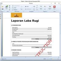 Financial Report Using XAF Devexpress