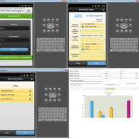 A poll system that able record about turists visit.