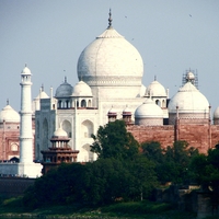 Portfolio Thumbnail 17