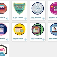 Credly Badges 