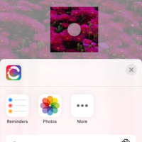 Mobile(iOS), swift, document sharing