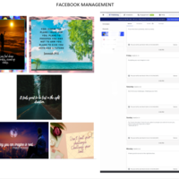 Facebook Management