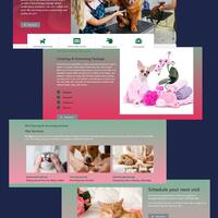 Webite Design and Web Contents