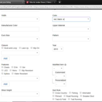 Item Specifications in Ebay Listing