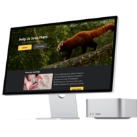 Portfolio Thumbnail 6