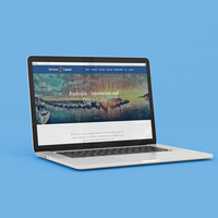 TDVC Website