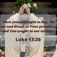 Portfolio Thumbnail 5