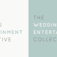 The Wedding Entertainment Collective Branding