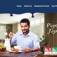 Website Design and Development
