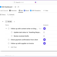 ClickUp Workspace Setup a CEO tasks, assisgnees,due dates