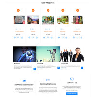 Portfolio Thumbnail 38