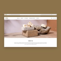 eCommerce ( Shopify )