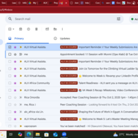 Inbox Organization & Management
