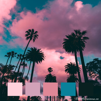 Portfolio Thumbnail 5