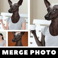 Photo Manipulation