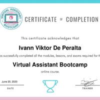 Virtual Asssitant Bootcamp - Certification