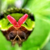 Portfolio Thumbnail 6