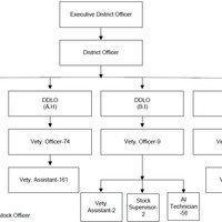 Flow charts/ organogramme