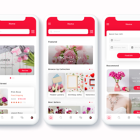 Native Mobile Application