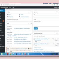 Editing Blog in Wordpress