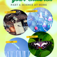 eBook Cover in Canva