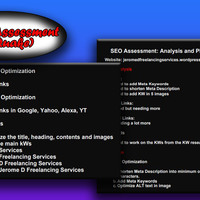 Website Assessment