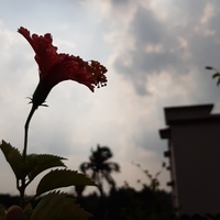 Photography skills