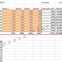 Sales Data Entry & Analysis in Excel