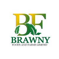 Portfolio Thumbnail 13