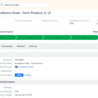 opportunity creation on insightly