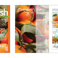 Fresh Magazine