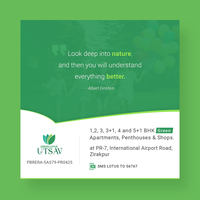 Ads Design - Graphic Design - Green Lotus