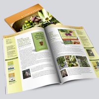 Catalog Design