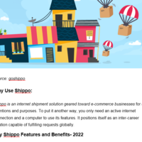 An article review on Shippo Company