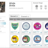 Badges in VABootcamp Training