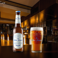 Beer Bottle and Glass Design