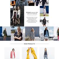 Elegant Ecommerce Home