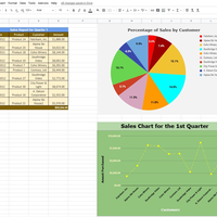 Excel  Report Sales Report