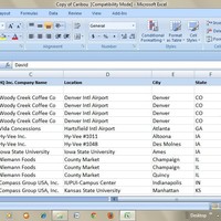 Data Entry from PDF to Excel