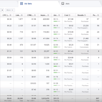 Facebook successful campaigns