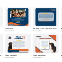 Basic Canva