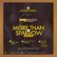 Branding for Divine Elevation conference 2