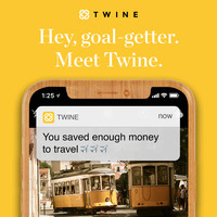 Twine Push Notification Ad 2