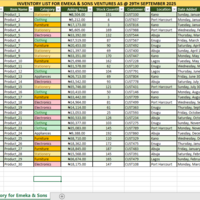 Inventory Data Entry for Emeka & Sons Venture