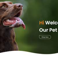 Portfolio Thumbnail 14