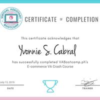 E-Commerce VA Crash Course