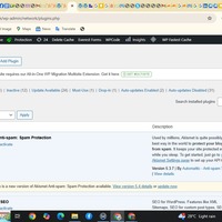 WordPress Plugin